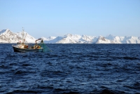 Opportunities for fisheries as the Arctic ice melts