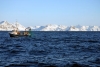 Opportunities for fisheries as the Arctic ice melts
